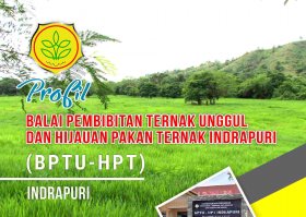 Company Profile BPTU-HPT Indrapuri